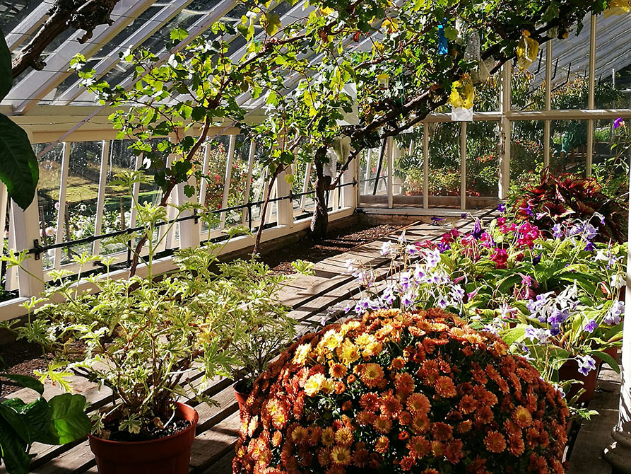 drummond_castle_greenhouse_wine_ninjas.jpg
