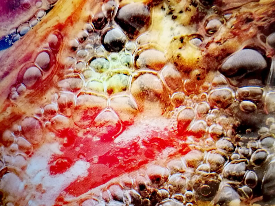 psychedelic aubergines