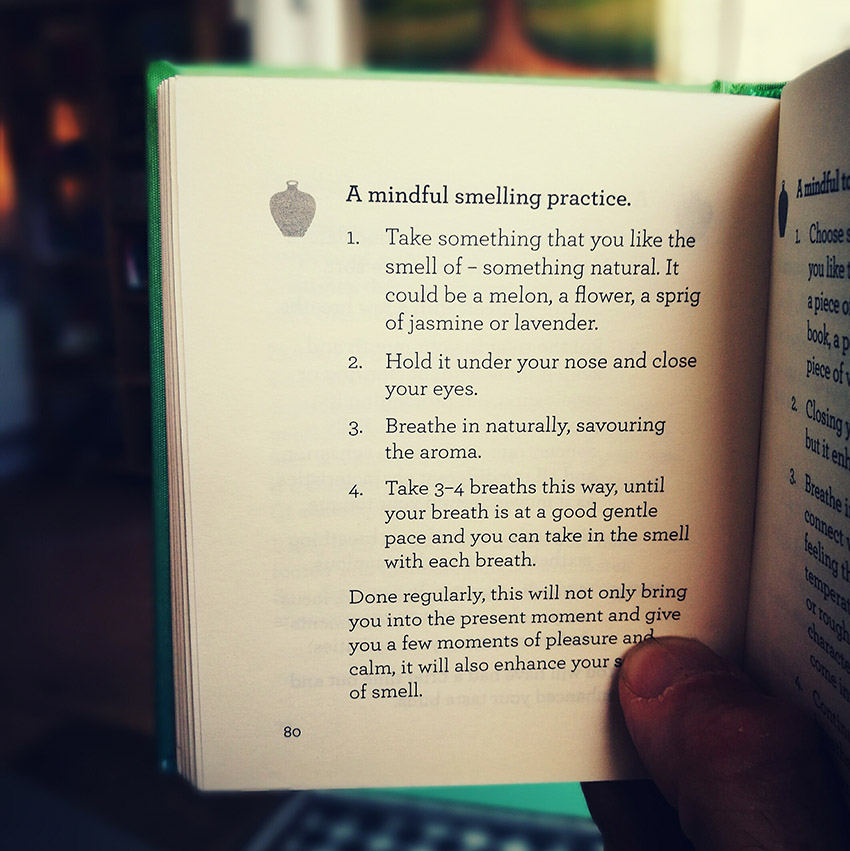 Mindful wine tasting