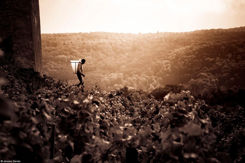 wine photographer of the year 2018