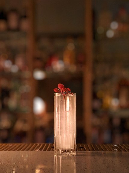 dove_heads_and_tails_bar